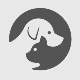 Super Cozy Cat Hoodie Dragon Dress Sweater