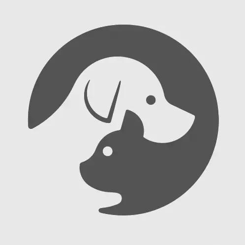 Super Cozy Cat Hoodie Dragon Dress Sweater