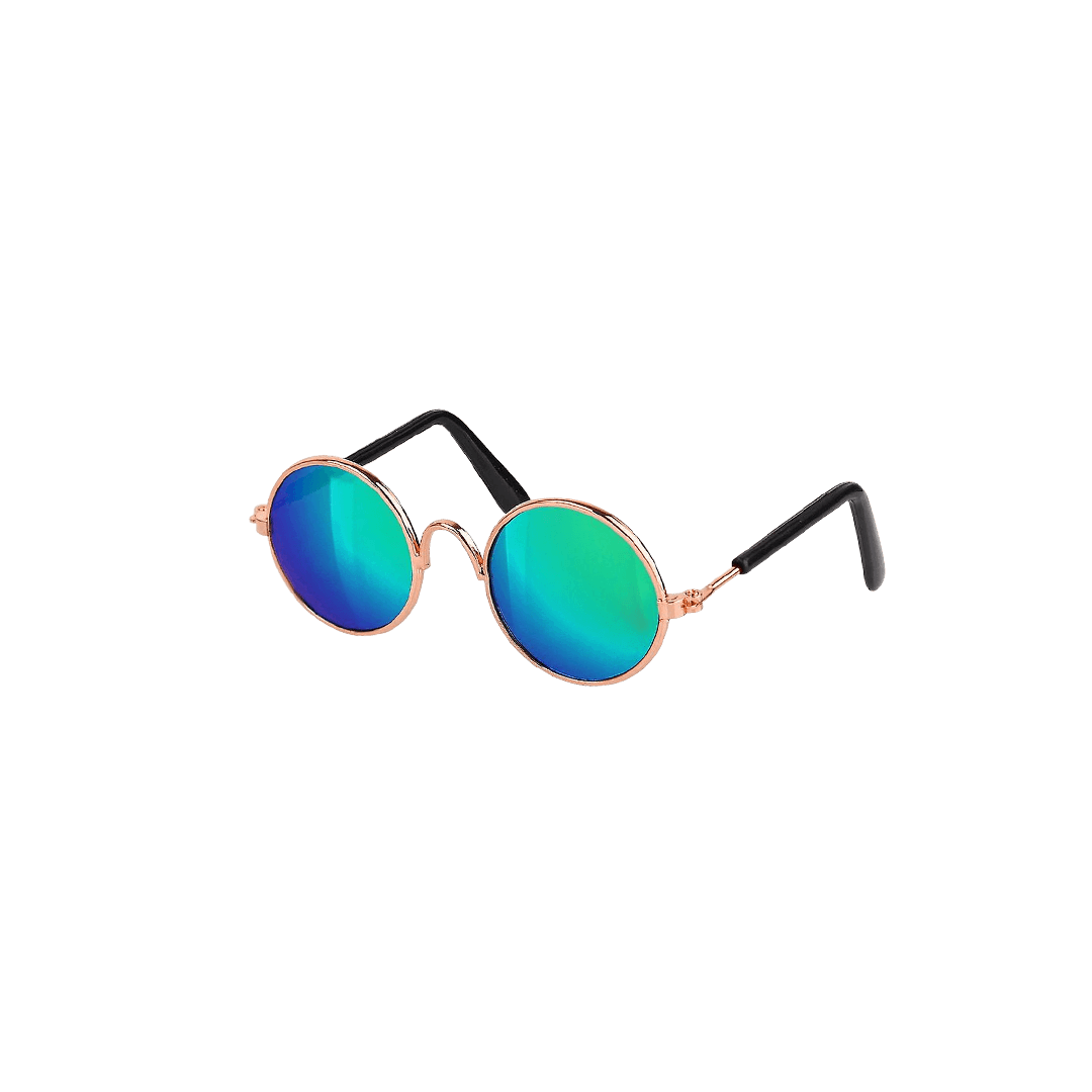 Trendy Sunglasses for Pets