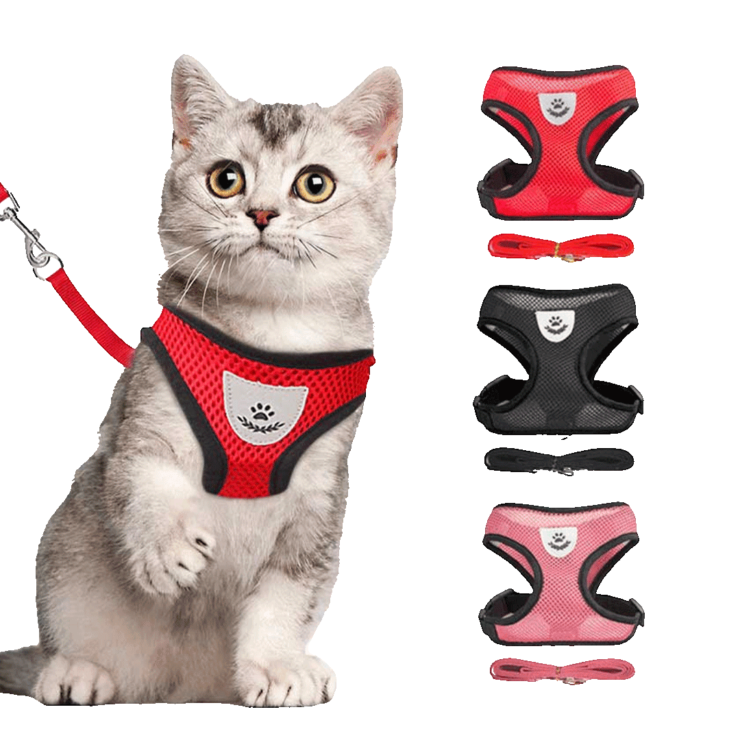 Cat Full Body Harness and Leash
