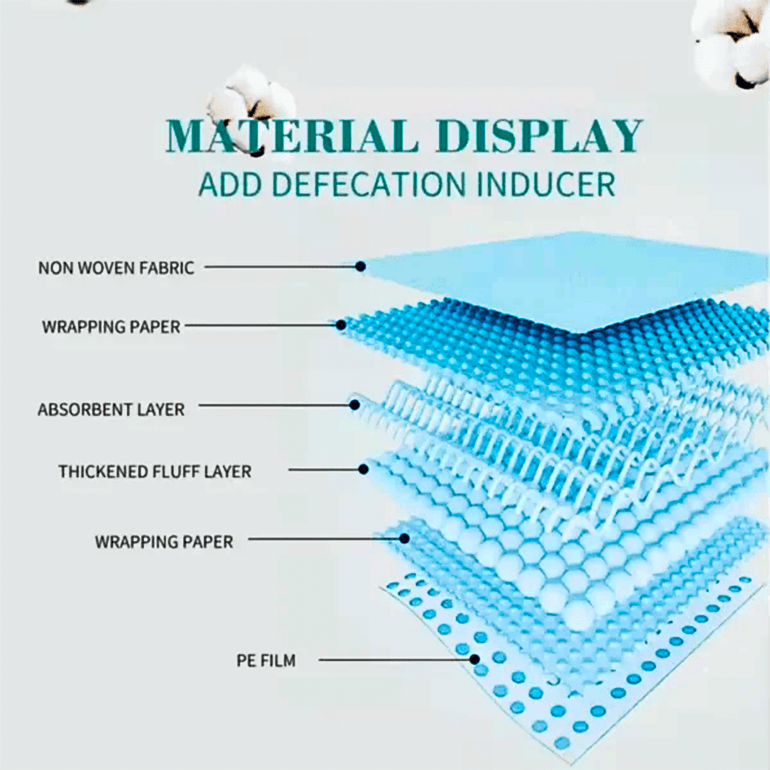 Bioline Highly Absorbent & Leak-proof Training Pee Pad (1 Piece)