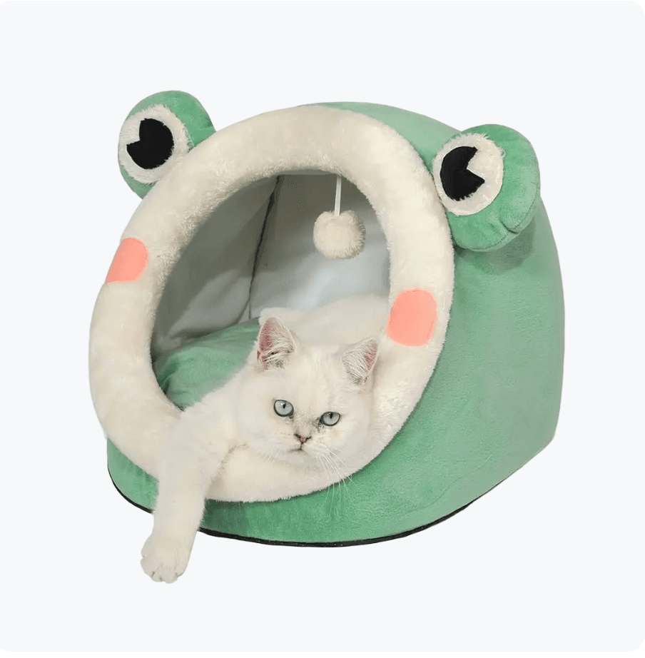 Extra Large Premium Cartoon House for Cats & Puppies