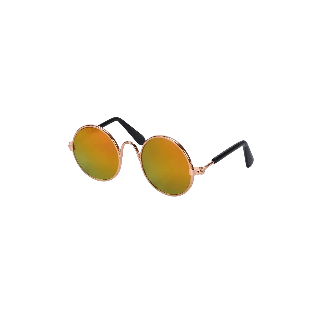Trendy Sunglasses for Pets