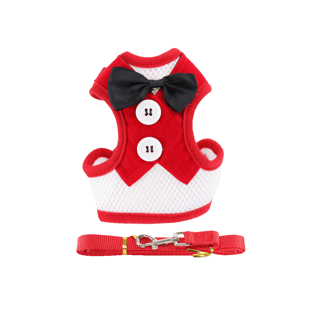 Stylish Bow Tie Harness