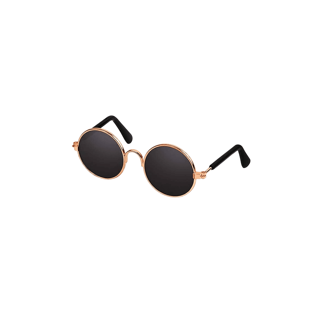 Trendy Sunglasses for Pets