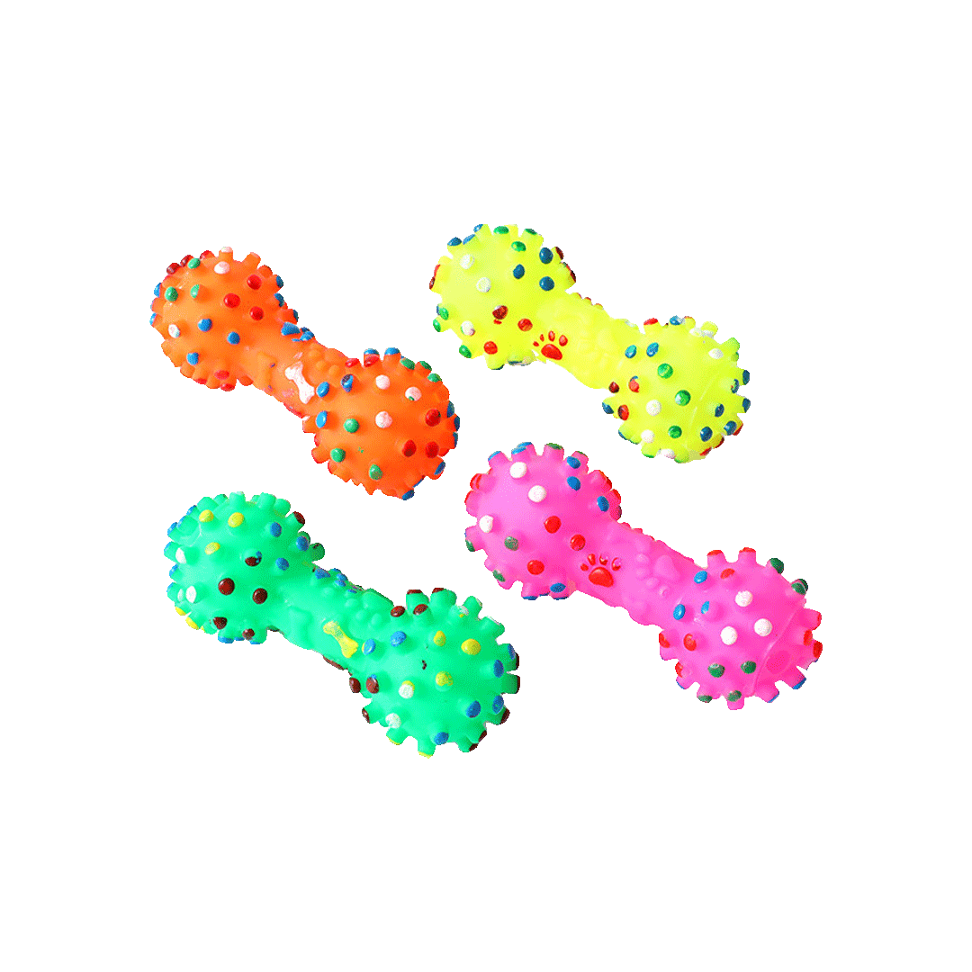 Interactive Colorful Bone Shaped Dog Squeaky Chew Toy