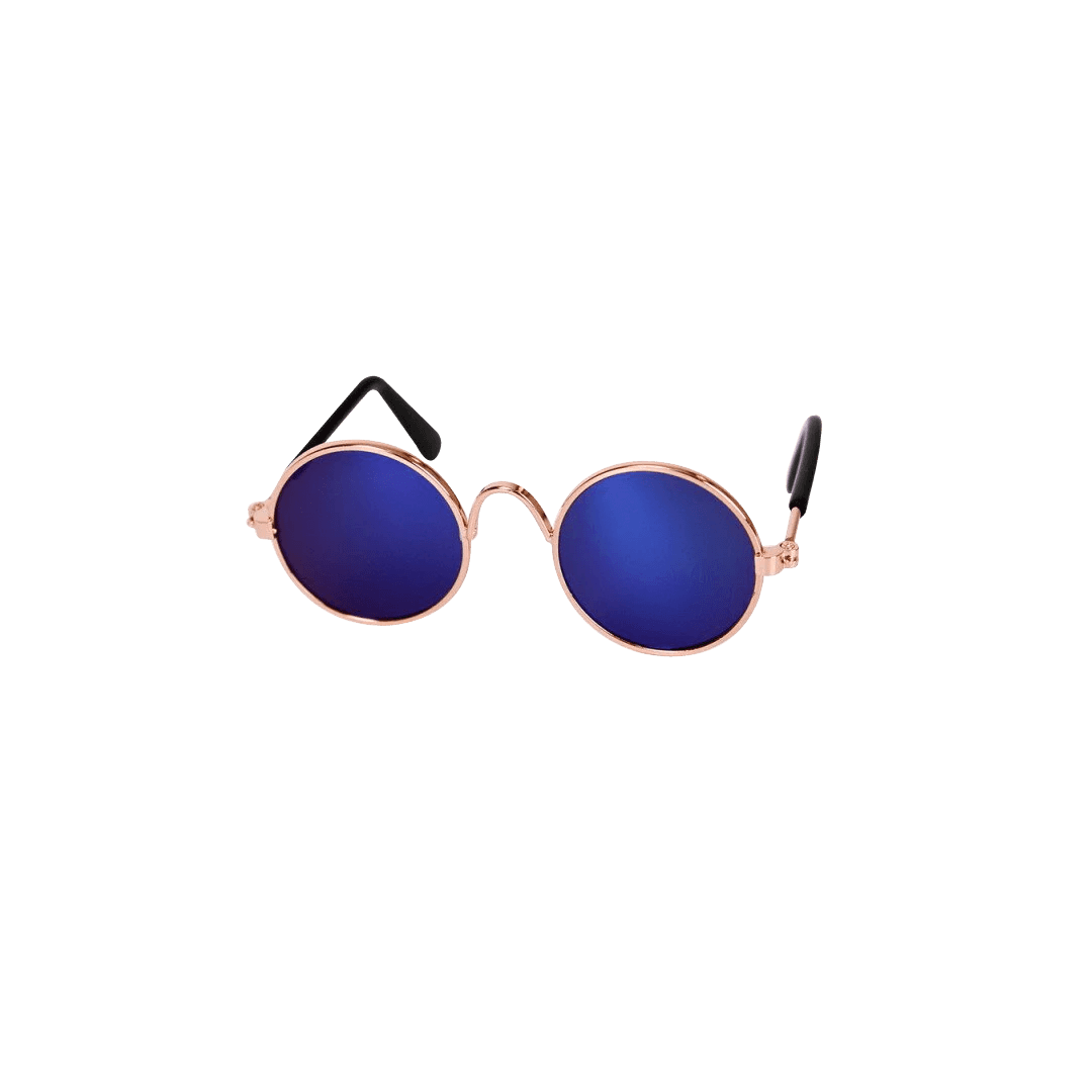 Trendy Sunglasses for Pets