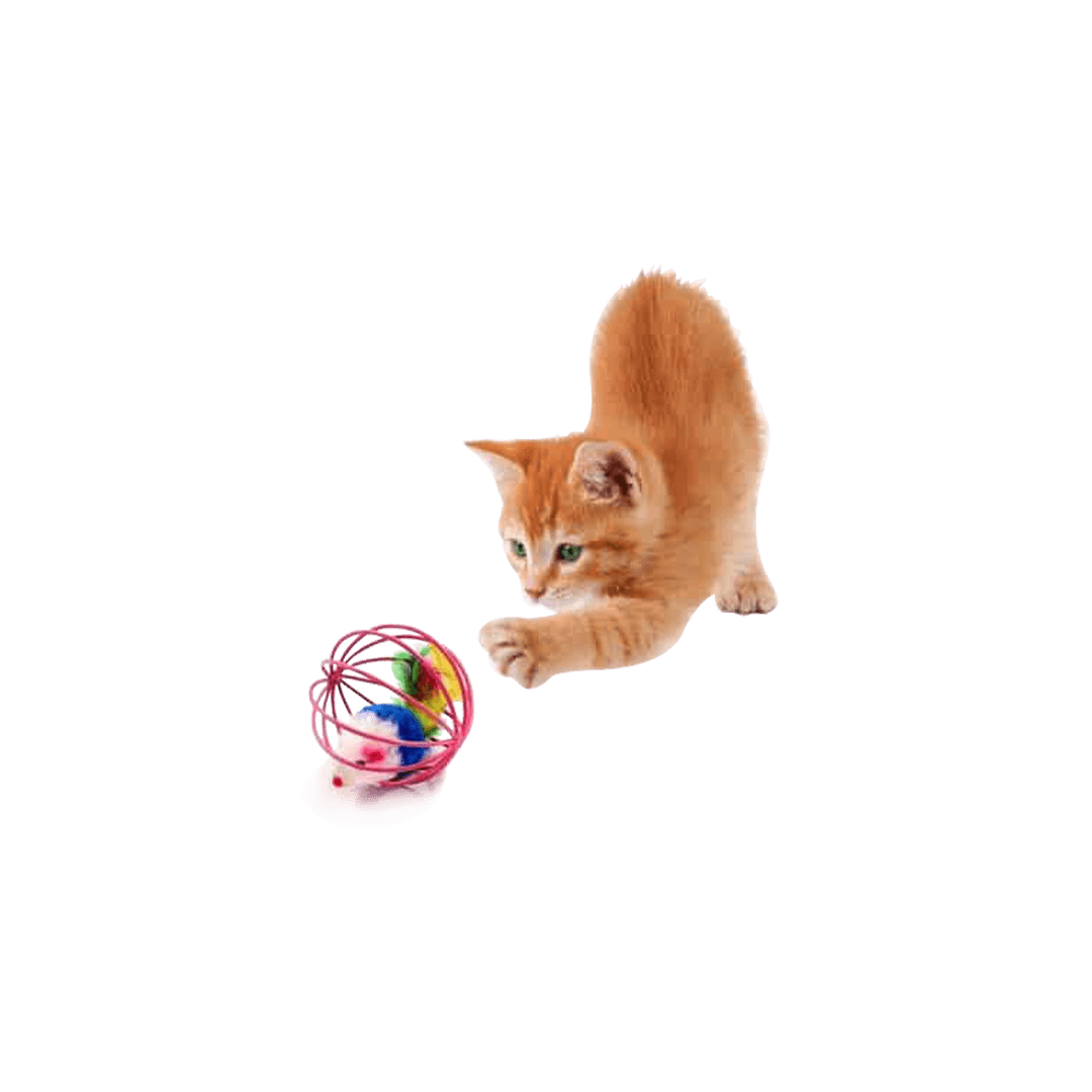 Cat Cages Mouse Ball Toy