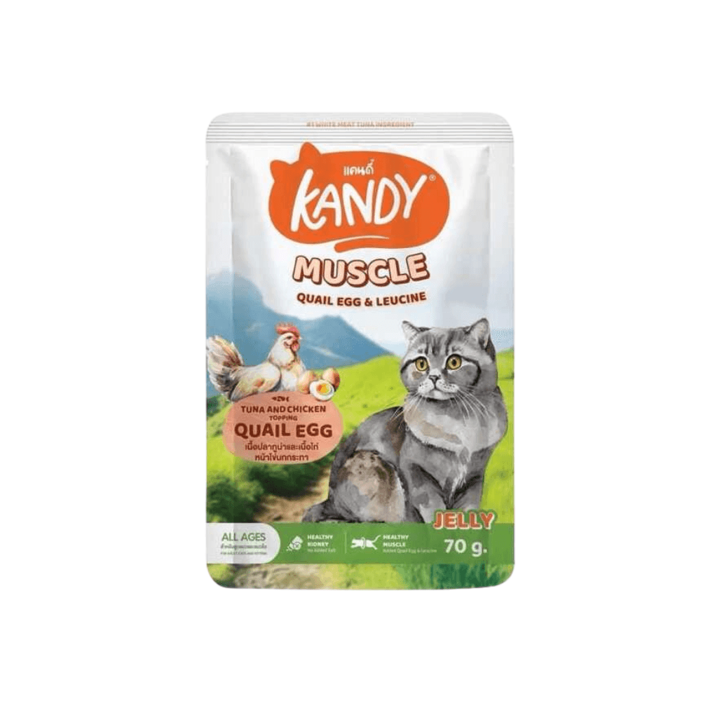 Kandy MUSCLE Formula Cat Pouch Tuna & Chicken in Jelly for All Ages 70g