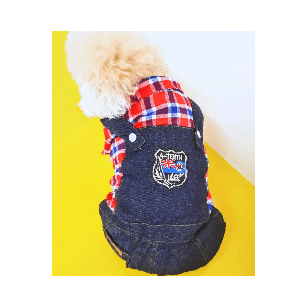 Male Cat Classic Denim Shirt Jumpsuit for Party, Eid, and Birthday