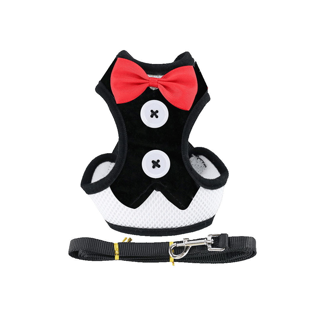 Stylish Bow Tie Harness