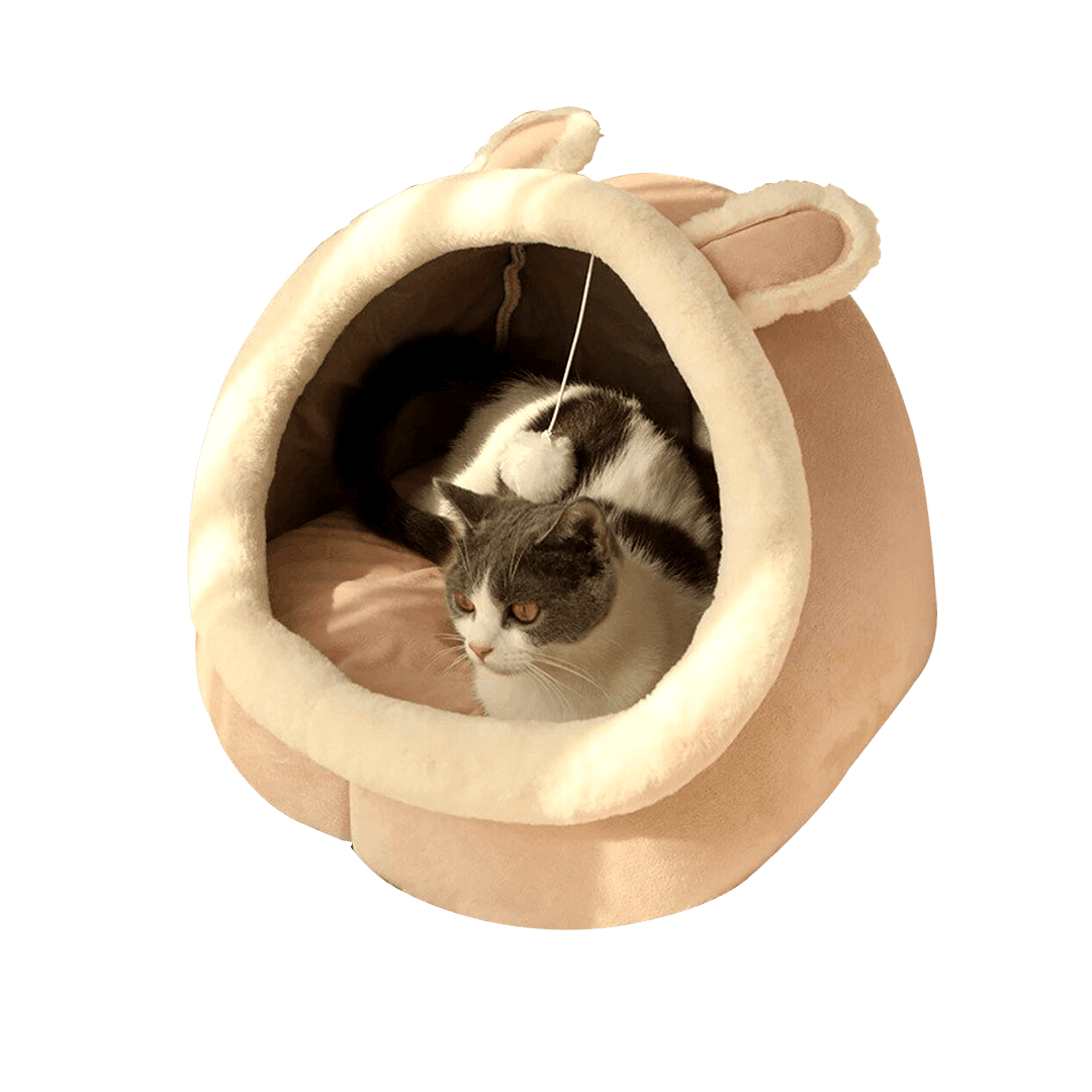 Large Premium Cartoon House for Cats & Puppies