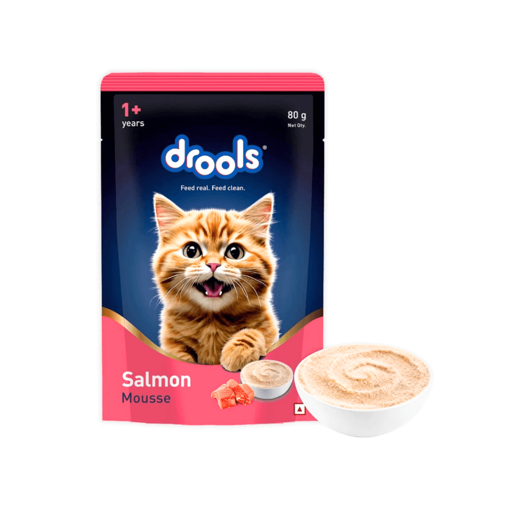 Drools Kitten Cat Pouch Salmon Mousse 80g