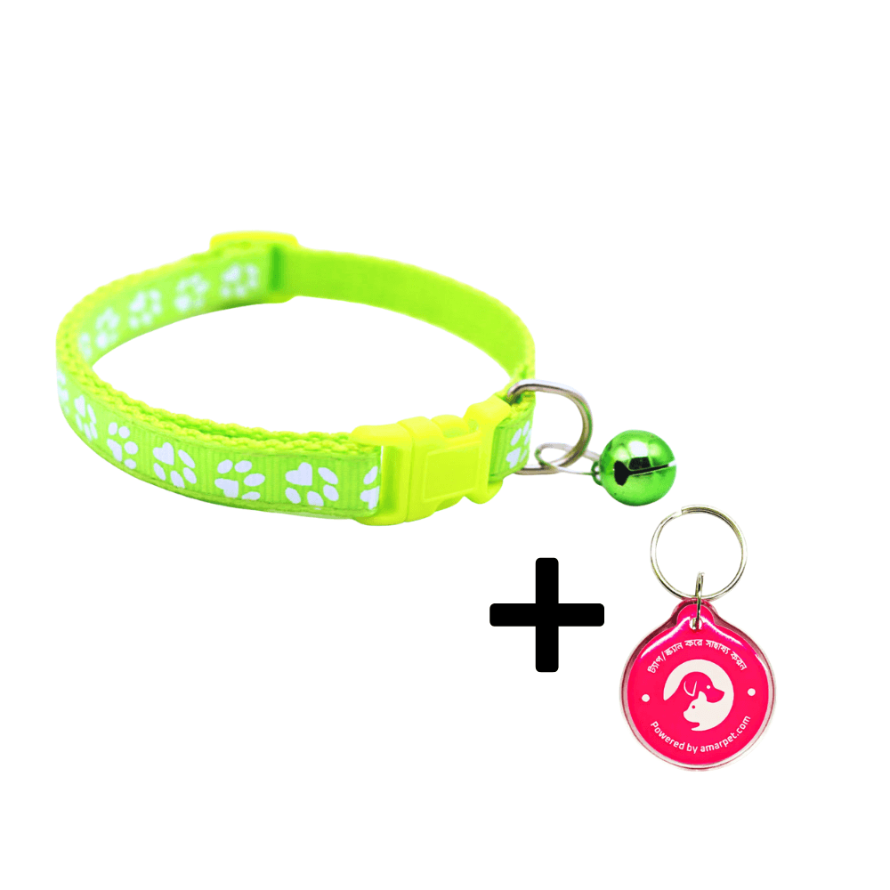 AmarPet Smart Pet Tag with Light Green Collar Combo