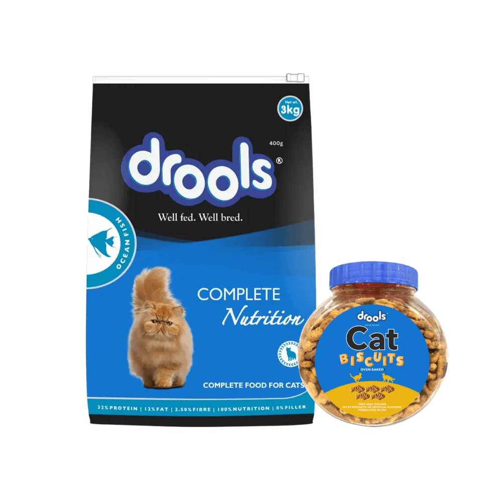 Drools Adult Cat Food Ocean Fish 3kg (Free 110g Cat Biscuits)
