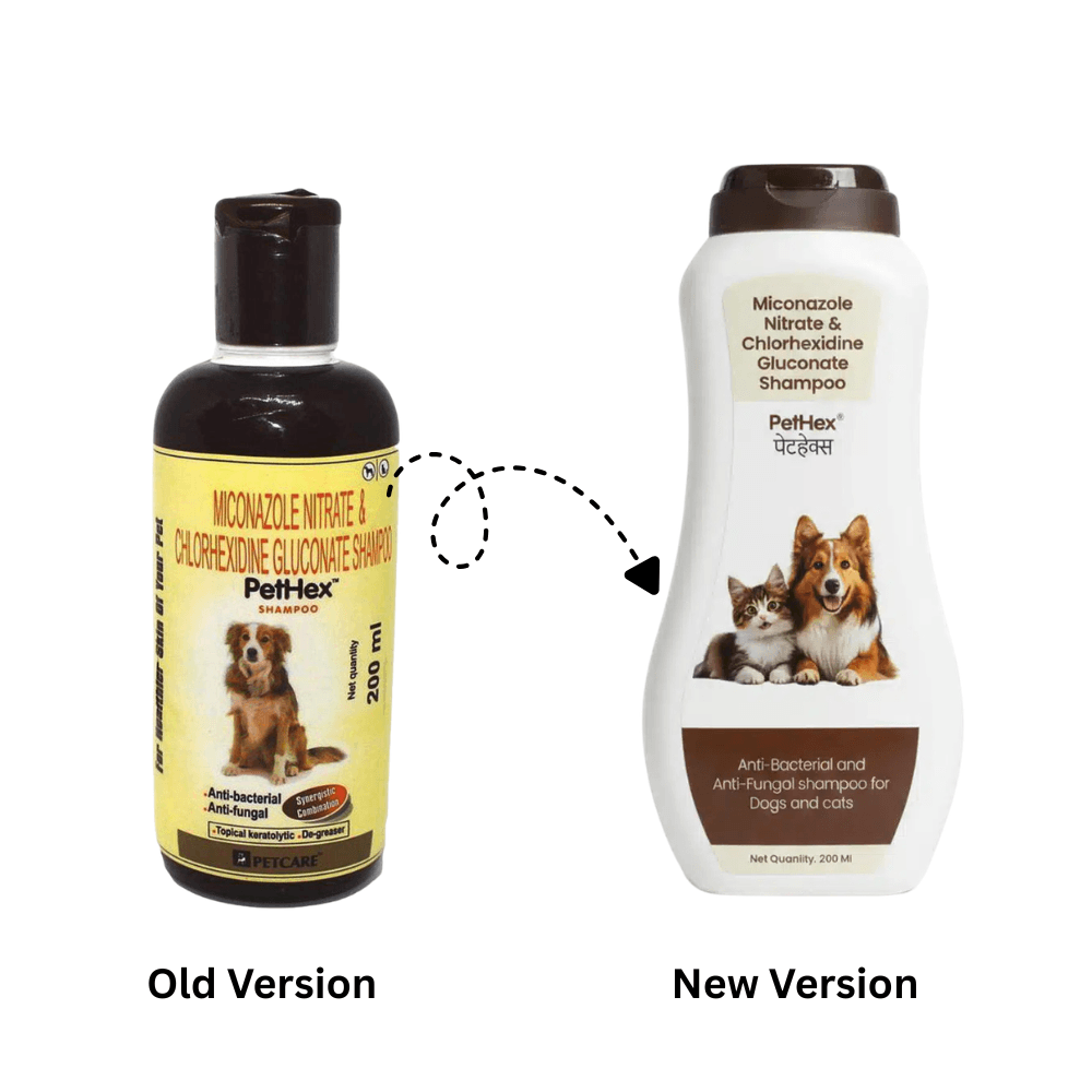 PetCare Pethex Medicated AntiFungal Shampoo 200ml