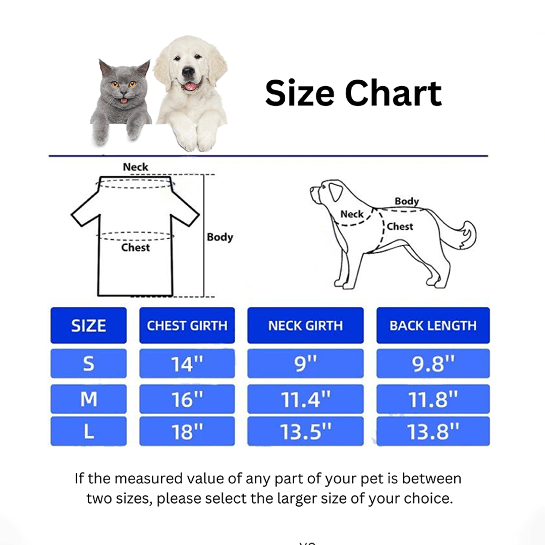 Bangladesh Cricket World Cup Jersey for Cats & Puppies