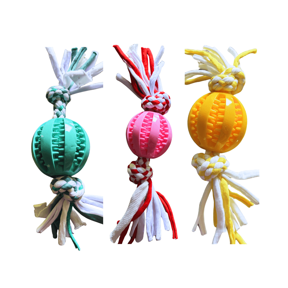 Interactive Chewing Rope & Ball Dog Exercise Toy