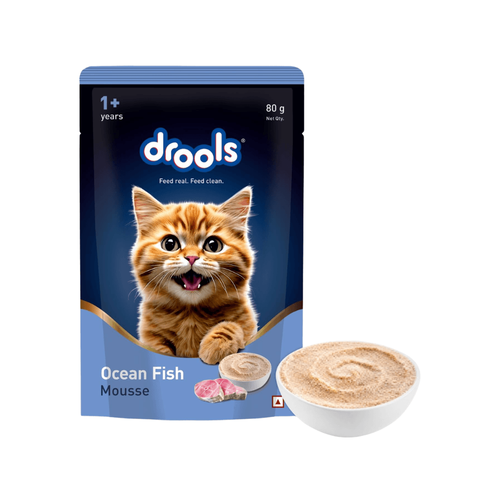 Drools Adult Cat Pouch Ocean Fish Mousse 80g
