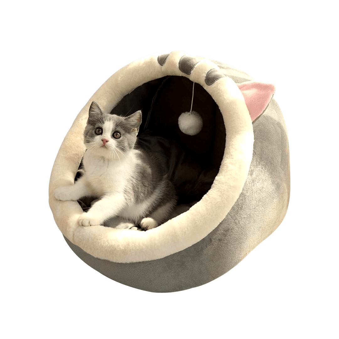 Large Premium Cartoon House for Cats & Puppies