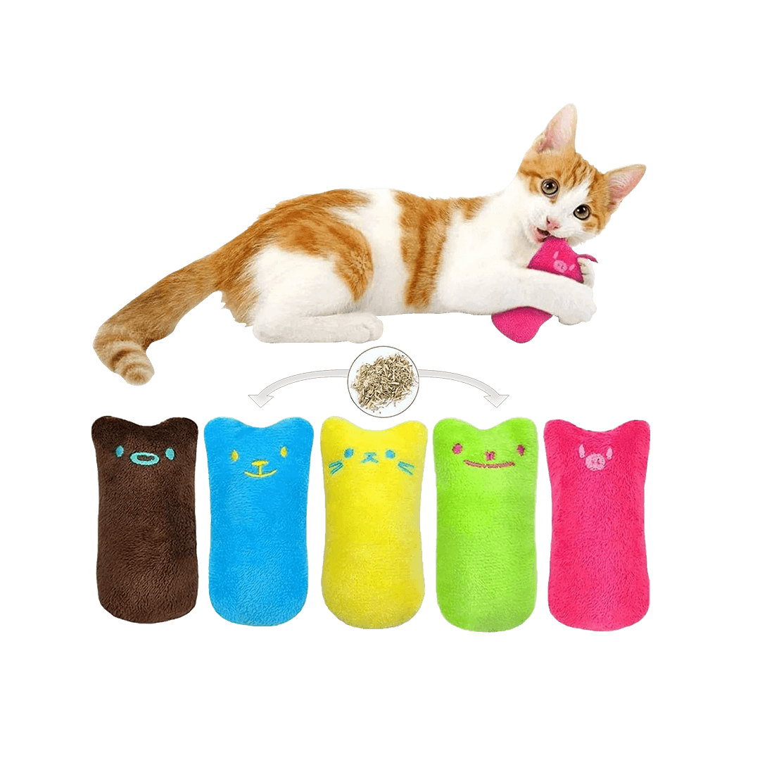 Pillow Catnip Toy for Cats