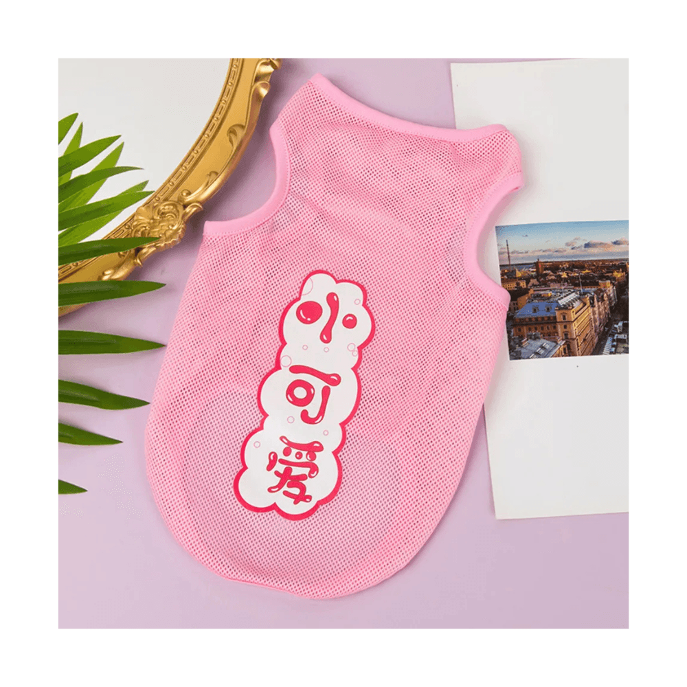 Popular Comfortable & Breathable Summer Sleeveless Pet Dress