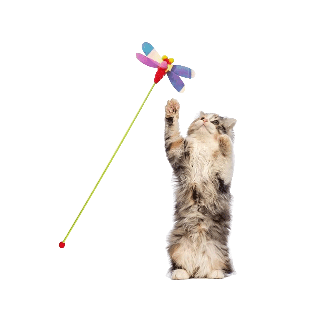 Cat Stick Teaser Toy Butterfly