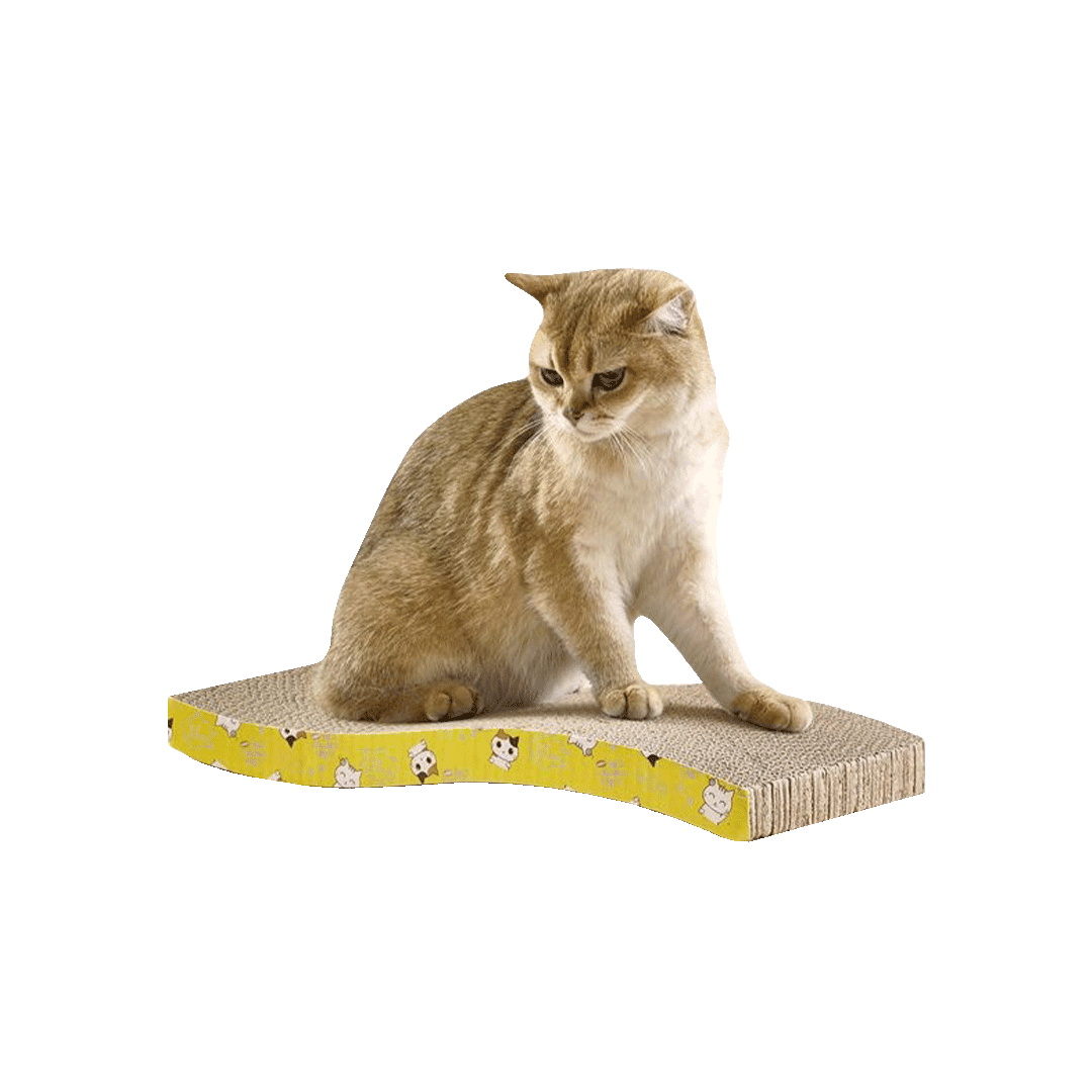 Curved Cat Scratcher Board
