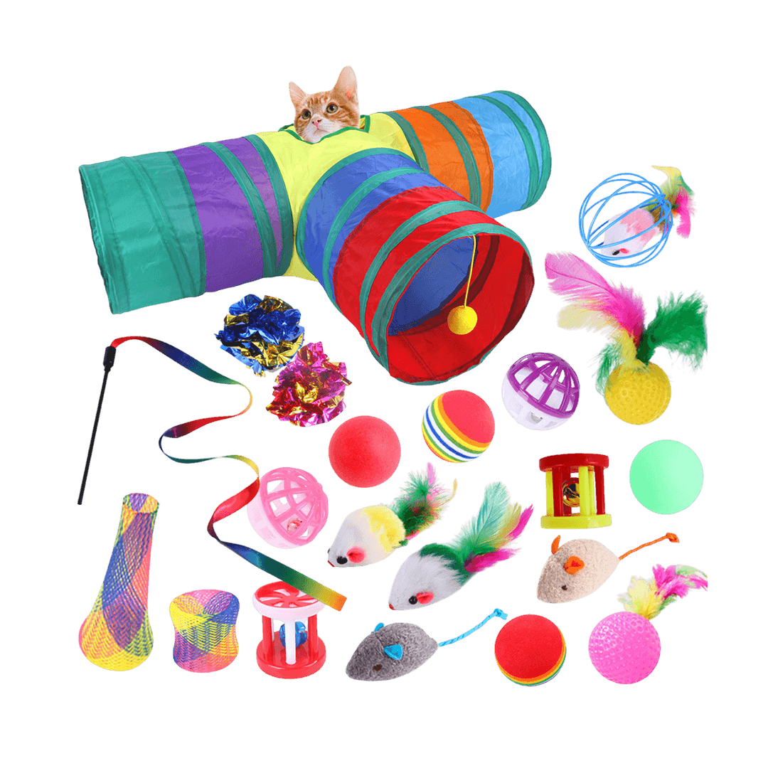 22 Pieces Toy Set