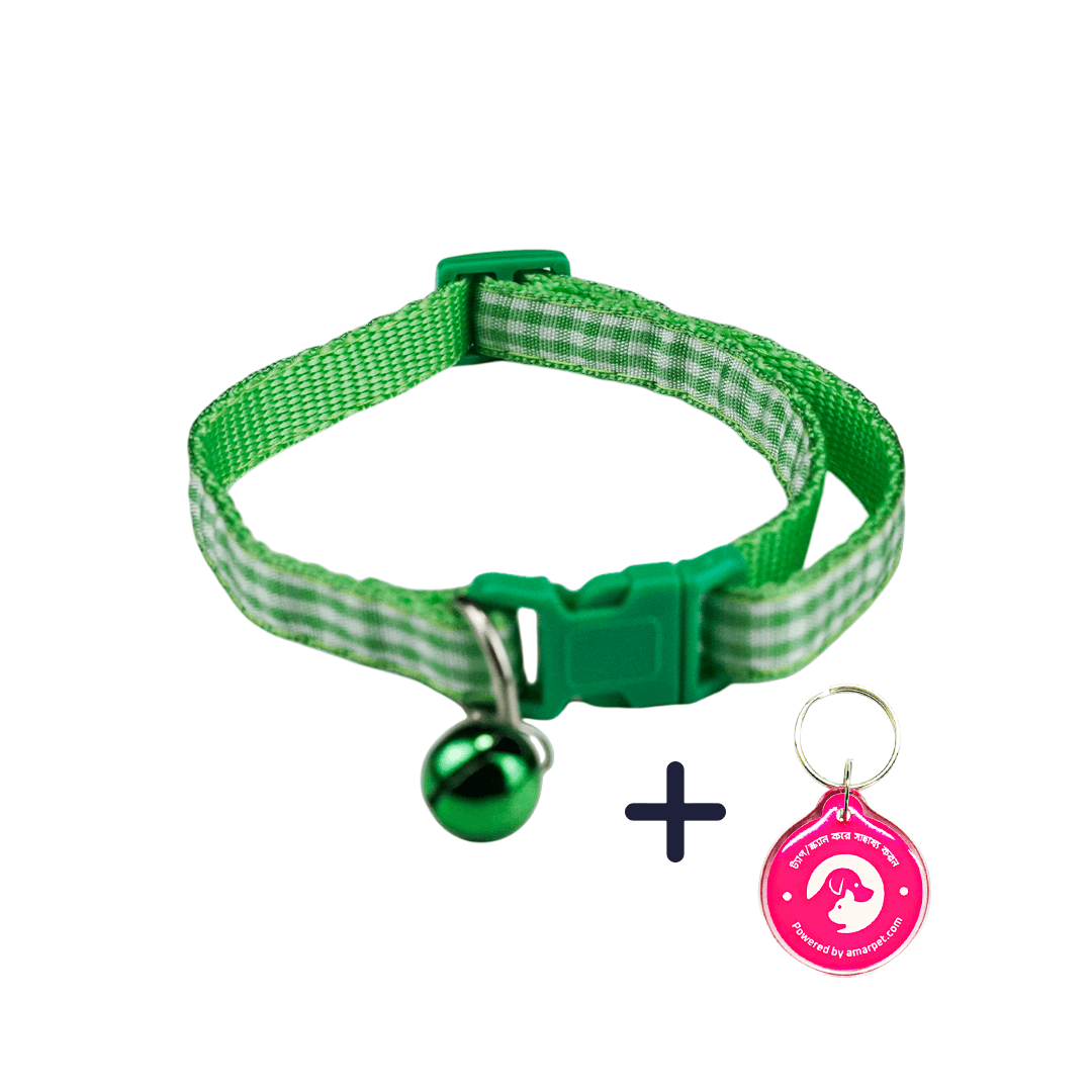 AmarPet Smart Pet Tag with Green Collar Combo
