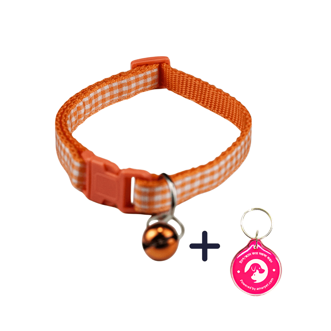 AmarPet Smart Pet Tag with Orange Collar Combo
