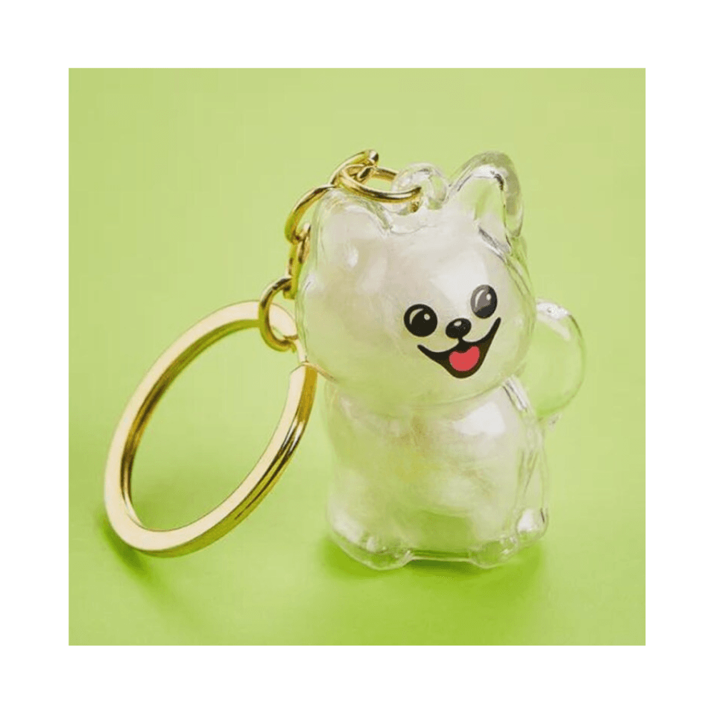 Cute Key Ring for Pet Parents