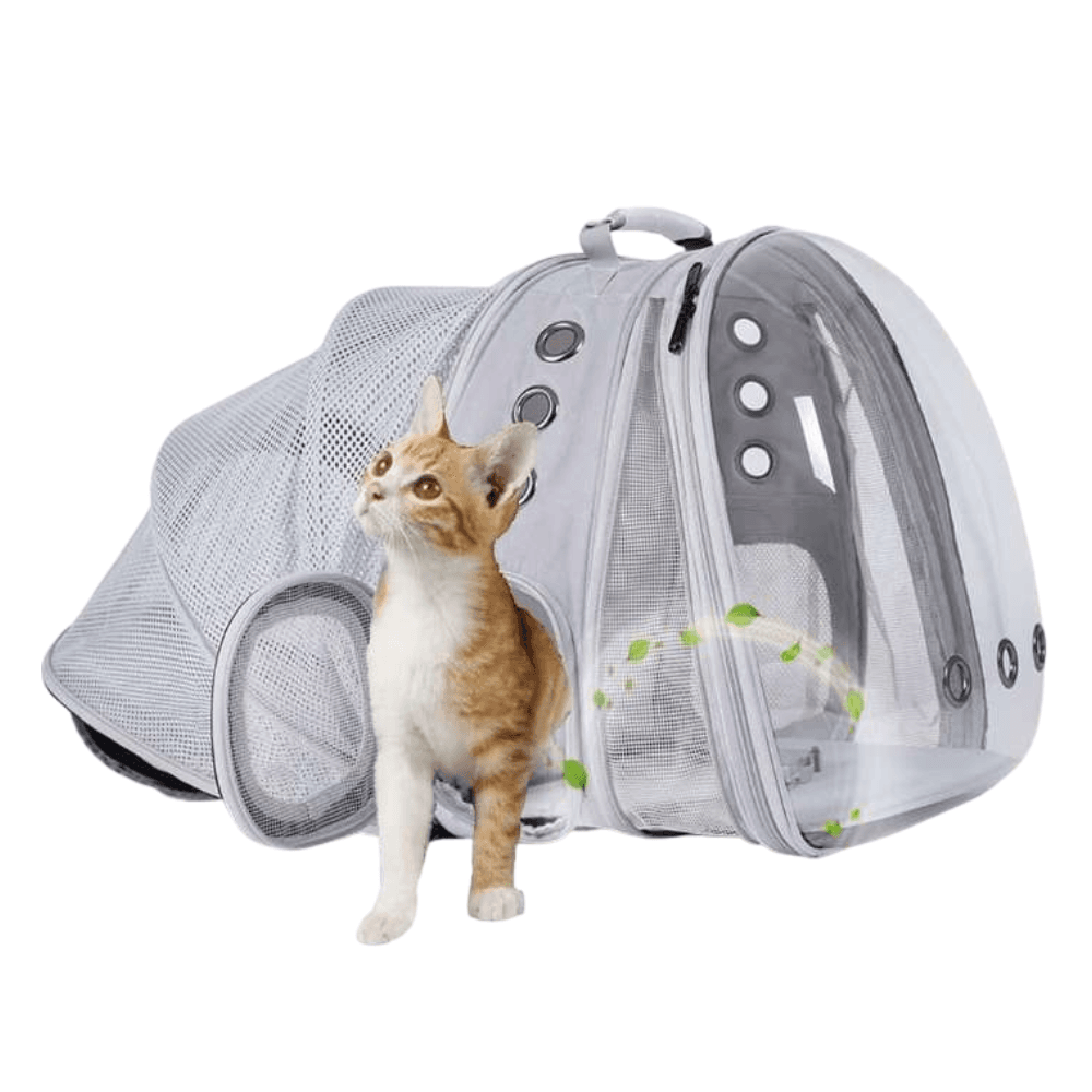 Expandable Pet Carrier Bag Cat Tent Backpack