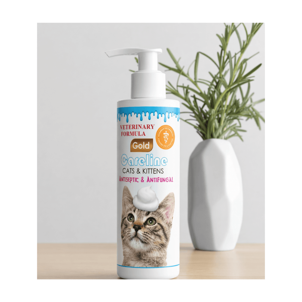 Careline Veterinary Formula Gold Antiseptic & Antifungal Shampoo for Cats 250ml