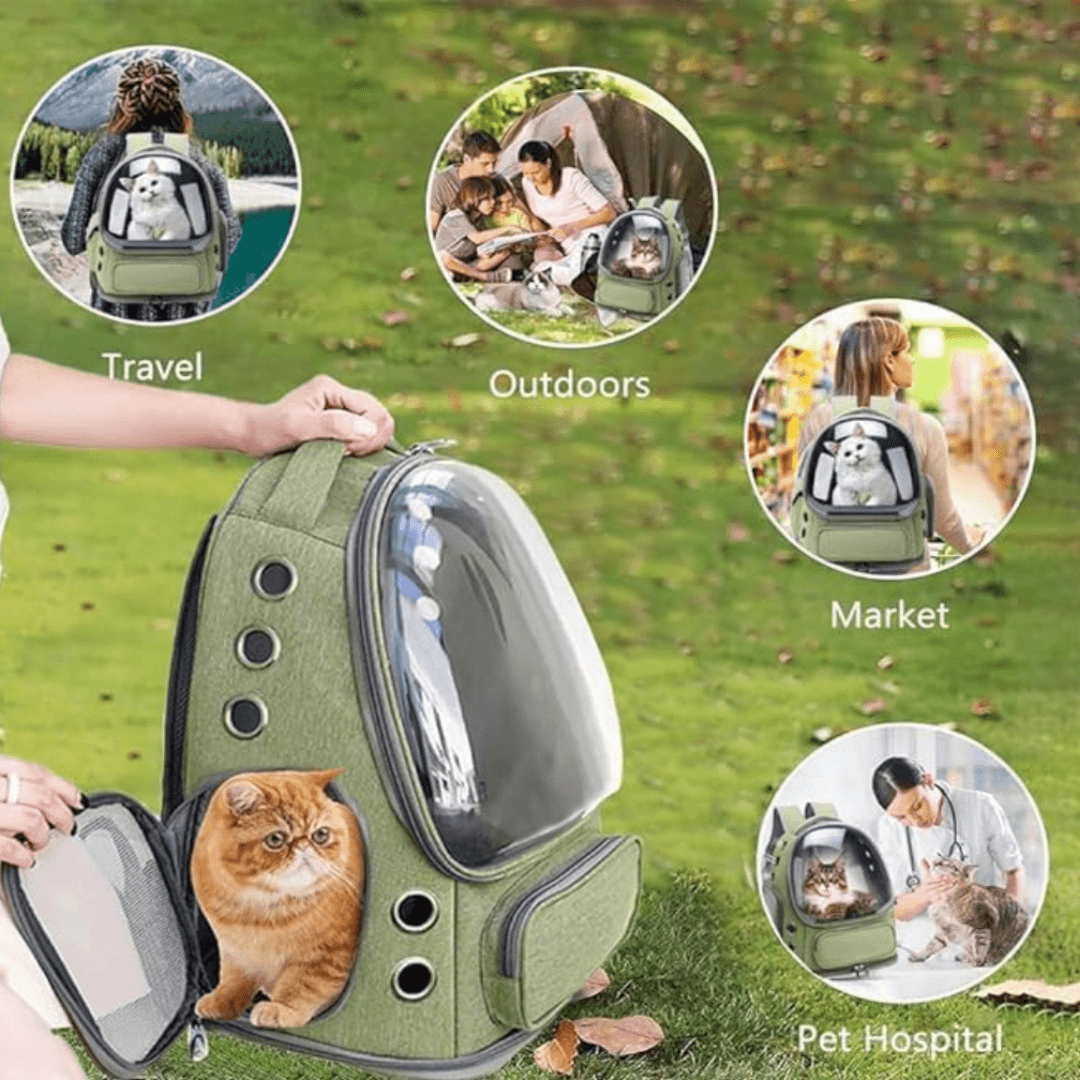 Luxurious Transparent & Foldable Pet Carrier Bag Large Size