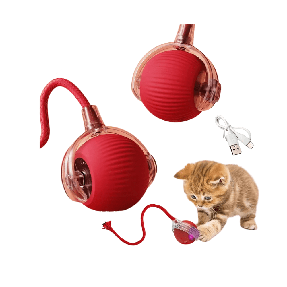 3 Modes Rechargeable Cat Toy Rolling Ball Electric Automatic Toys
