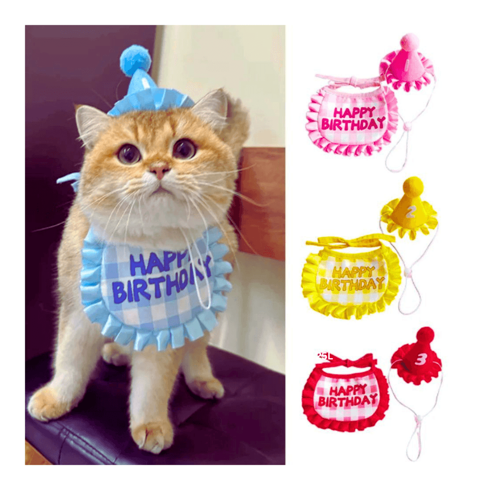Complete Cat Birthday Set - Scarf, Hat, Year Badge (No Exchange)
