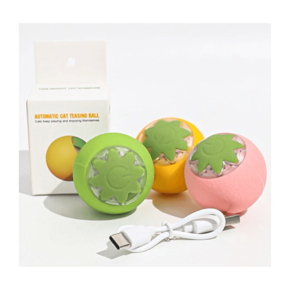 Rechargeable Automatic Fruit Shape Moving Ball Toy with USB Cable