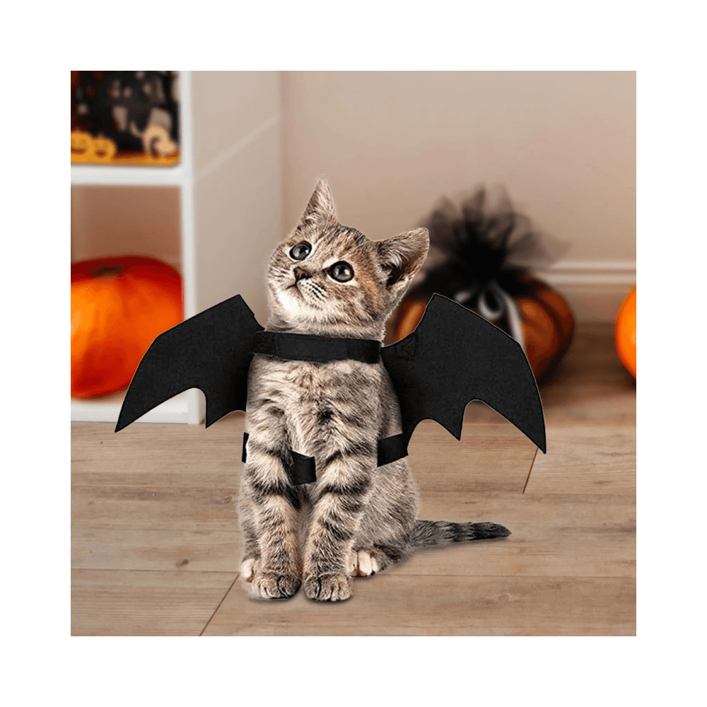 Cat Batman Wing Costume for Party