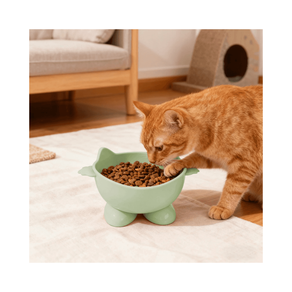 Kitty Design Pet Feeding Bowl Food Bowl