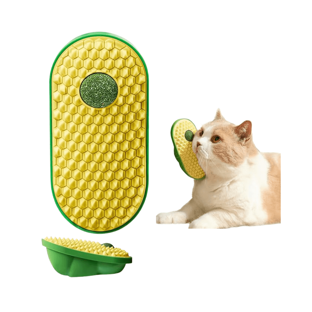 Wall Attached Replaceable Catnip Ball Exercise Toy for Both Happiness & Health