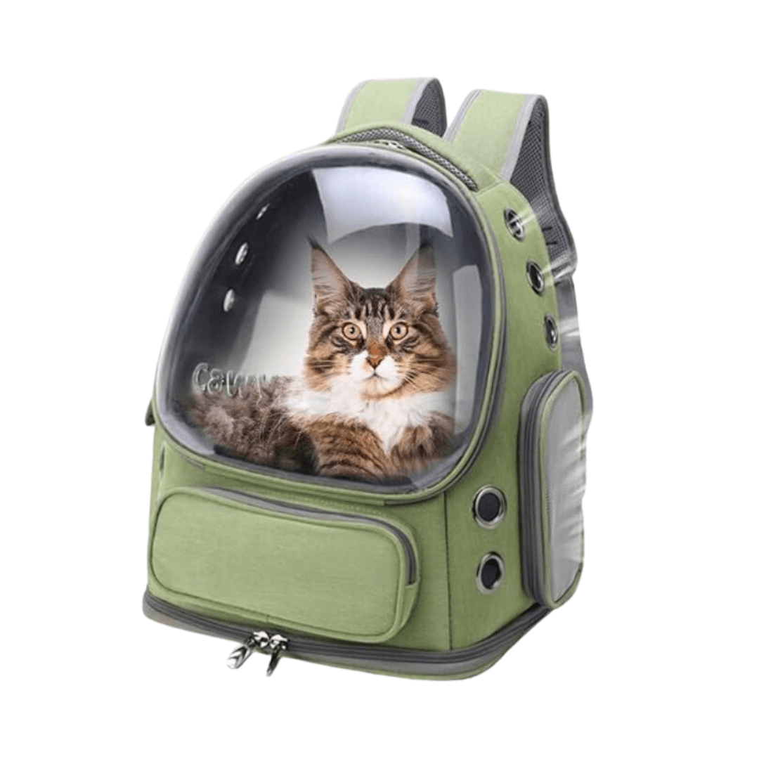 Luxurious Transparent & Foldable Pet Carrier Bag Large Size