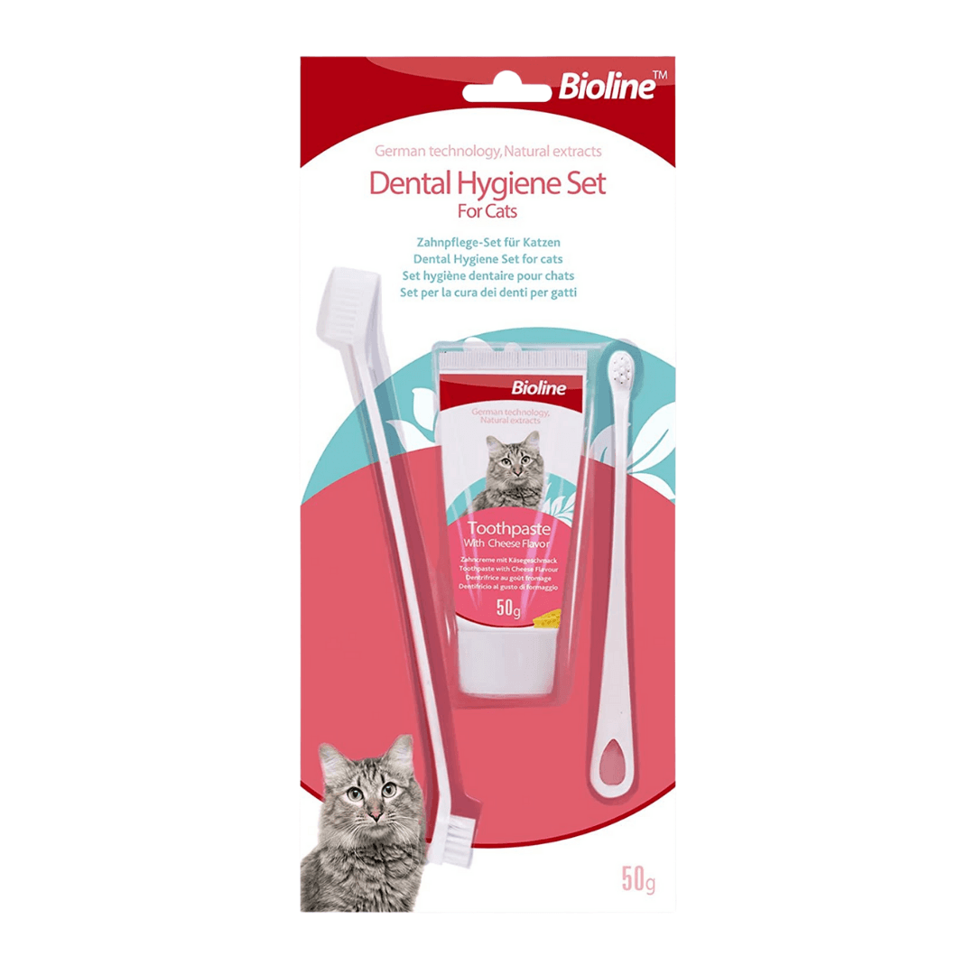 Bioline Toothbrush Dental Hygiene Set for Cat Cheese Flavour