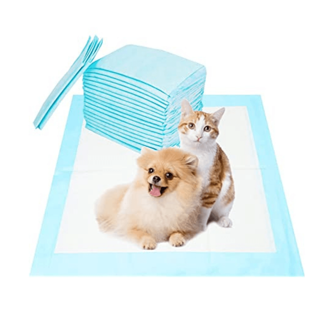 Highly Absorbent Potty Training Pee Pad for Cats & Dogs (1 Piece)