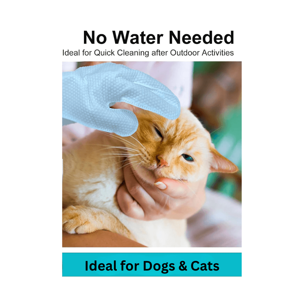 6 Pieces Pet Bathing Gloves Cleaning Wipes for Dogs and Cats