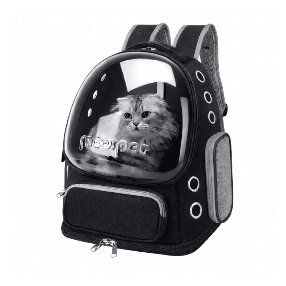 Luxurious Transparent & Foldable Pet Carrier Bag Large Size