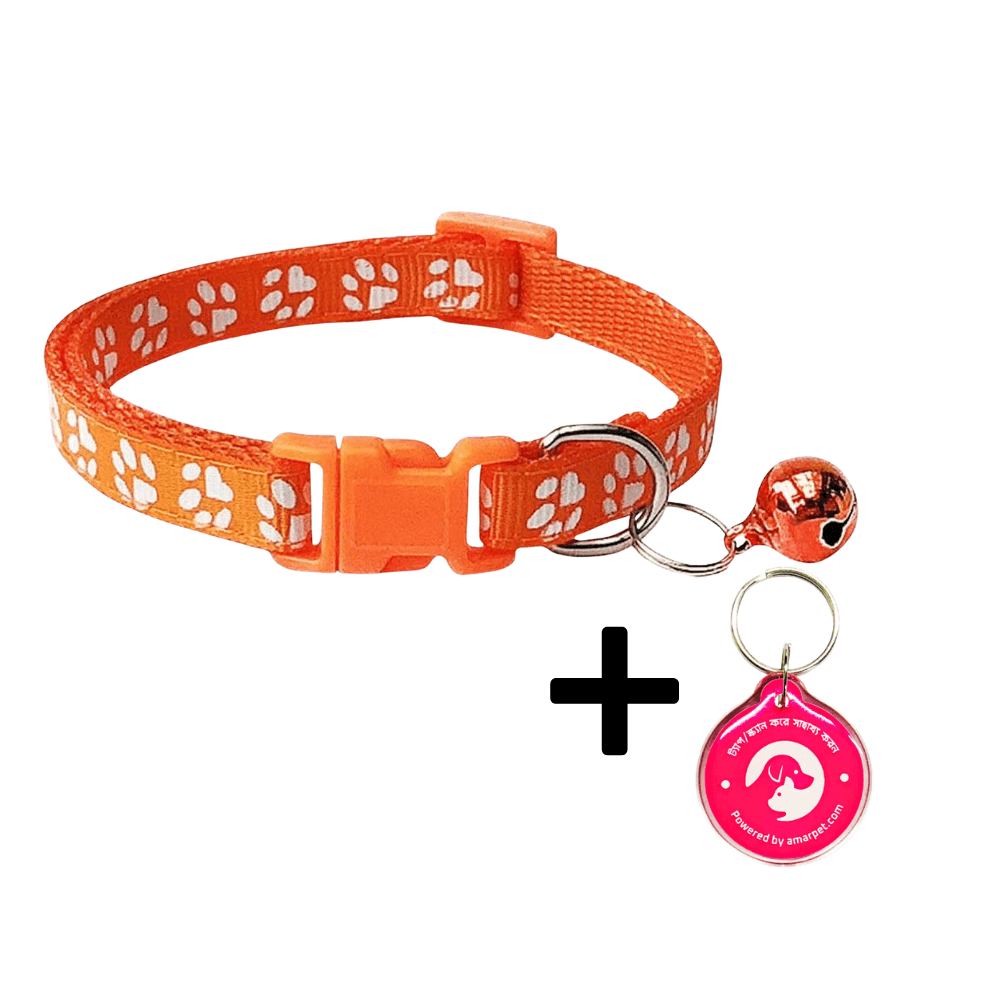 AmarPet Smart Pet Tag with Orange Collar Combo