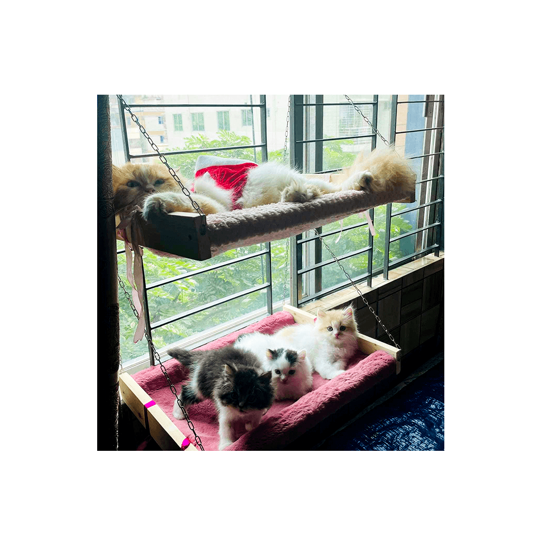 Pet Hammock Bed with Cushion