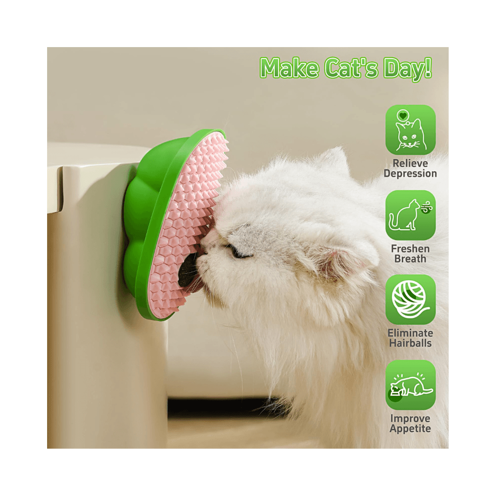 Wall Attached Replaceable Catnip Ball Exercise Toy for Both Happiness & Health