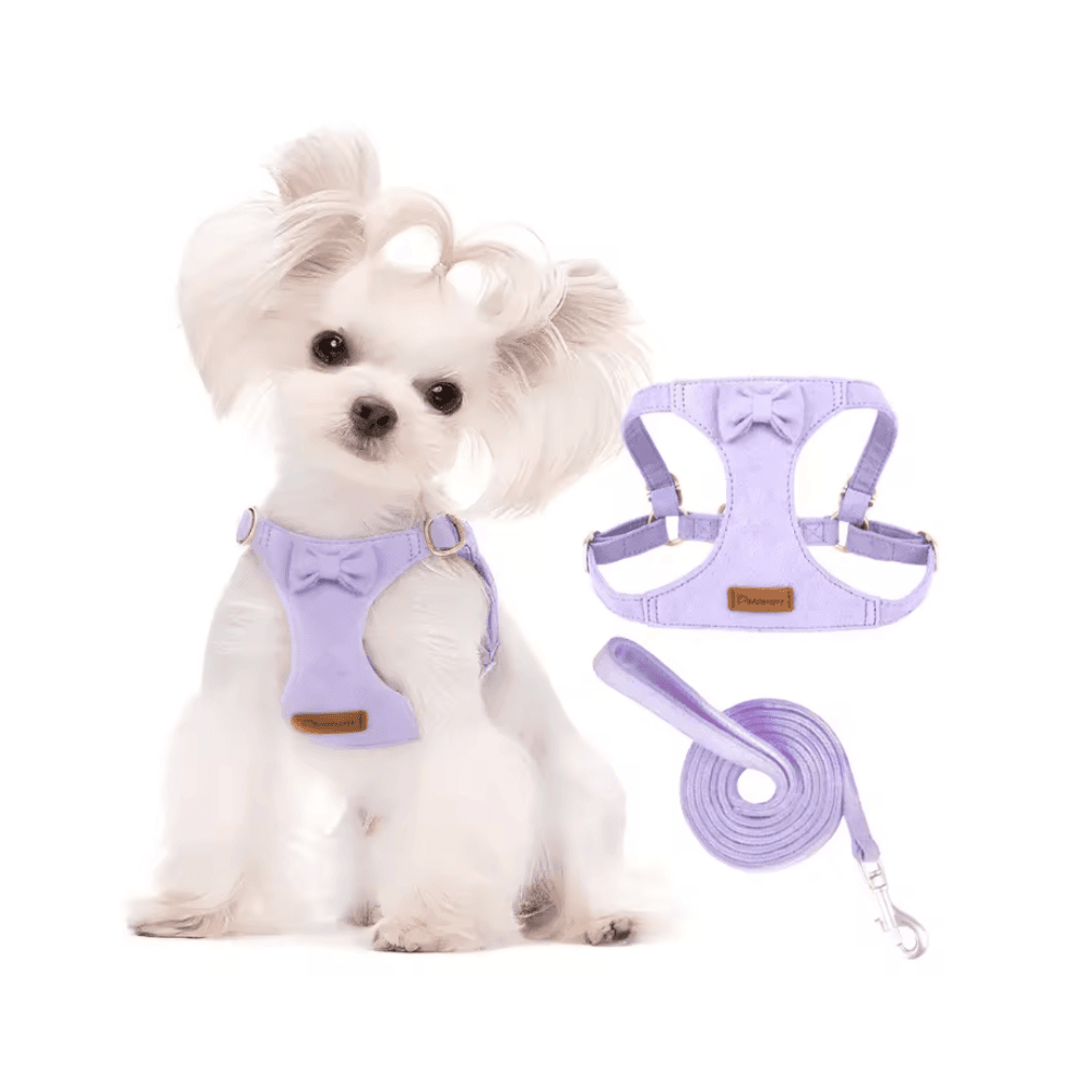 Trendy Premium Suede Leather Pet Harness Leash Set